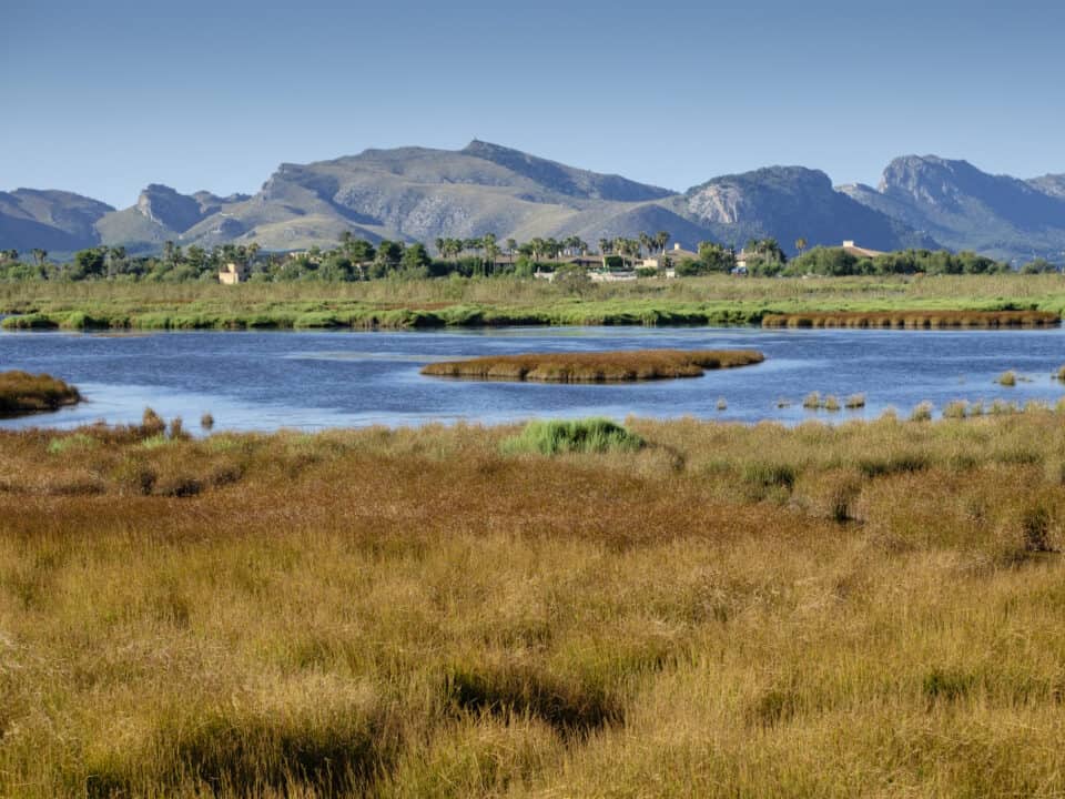 European Green Capital Award 2024 Valencia - Albufera Natural park