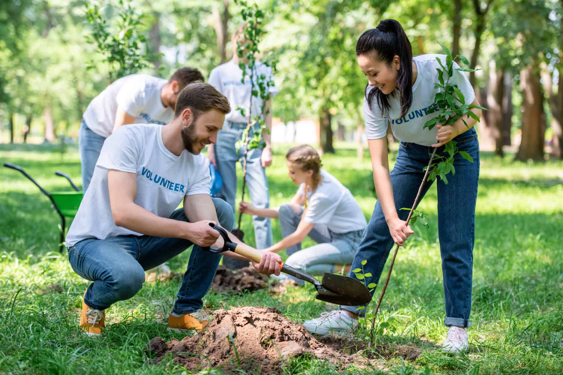 planting trees conscious travel guide