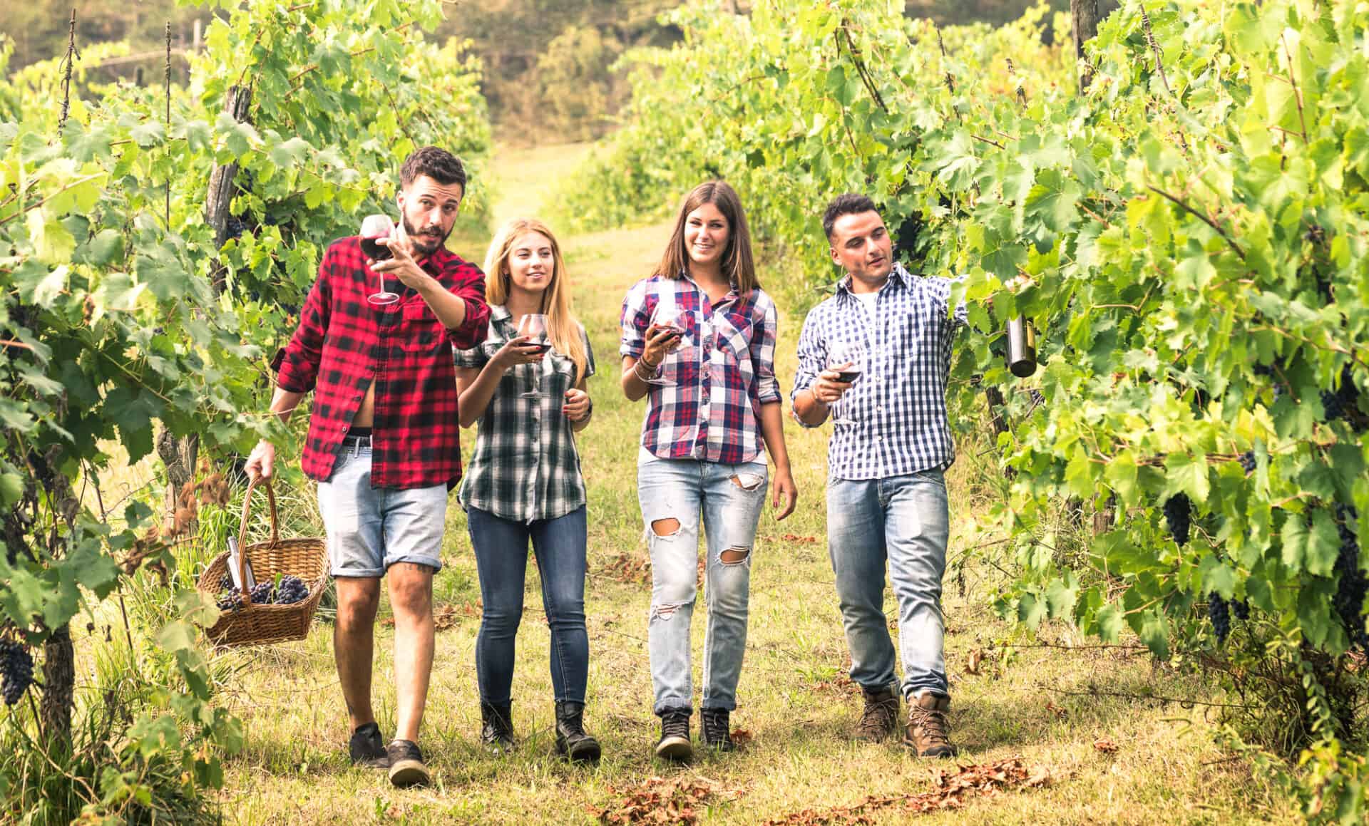 People visiting winery vineyard in Italy - Biodynamic wine making has gained popularity among wine producers who prioritize sustainable and regenerative practices.