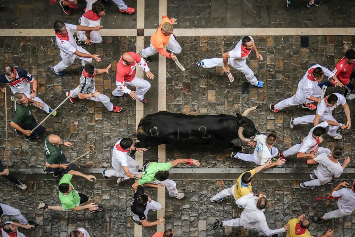 why bullfighting is so cruel pamplona